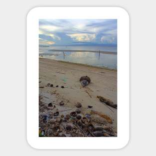 Coconut Shells on a Siquijor Beach at Sunset Sticker